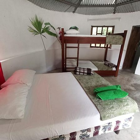 Guest House Great Hostels Amazon Puyo Exterior photo