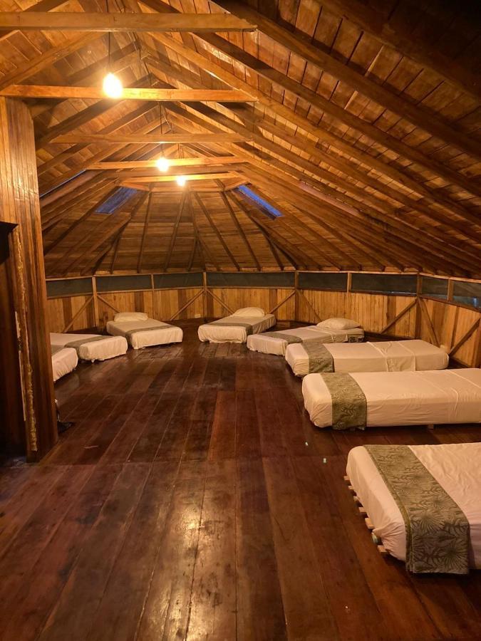 Guest House Great Hostels Amazon Puyo Exterior photo