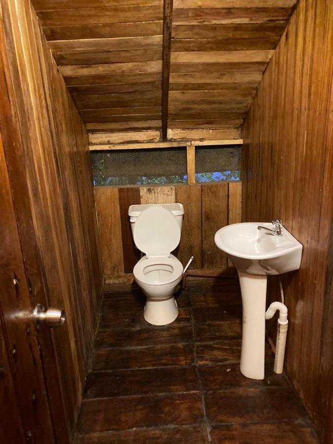 Guest House Great Hostels Amazon Puyo Exterior photo