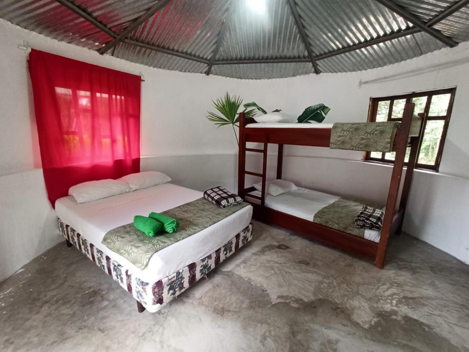 Guest House Great Hostels Amazon Puyo Exterior photo