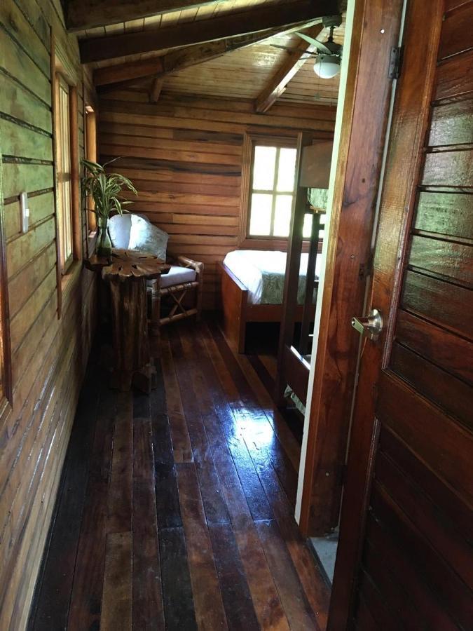 Guest House Great Hostels Amazon Puyo Exterior photo