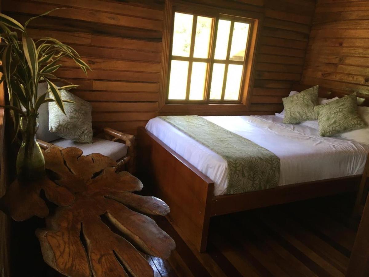 Guest House Great Hostels Amazon Puyo Exterior photo